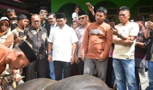 IMG-20260530-WA0003